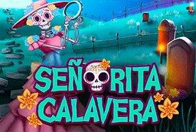 bingoseoritacalavera