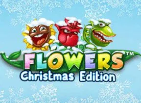 flowerschristmas