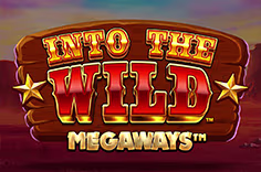 intothewildmegaways