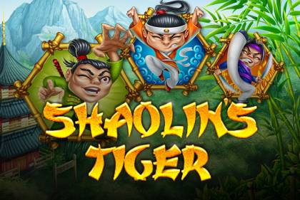 shaolintiger